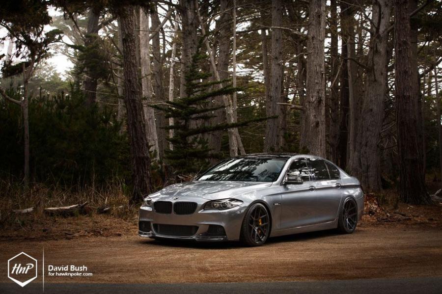  BMW 5-Series Exclusive by Rainer 2014 года  (фото 5 из 16)